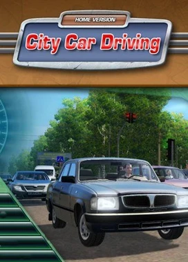 城市汽车驾驶 City Car Driving
